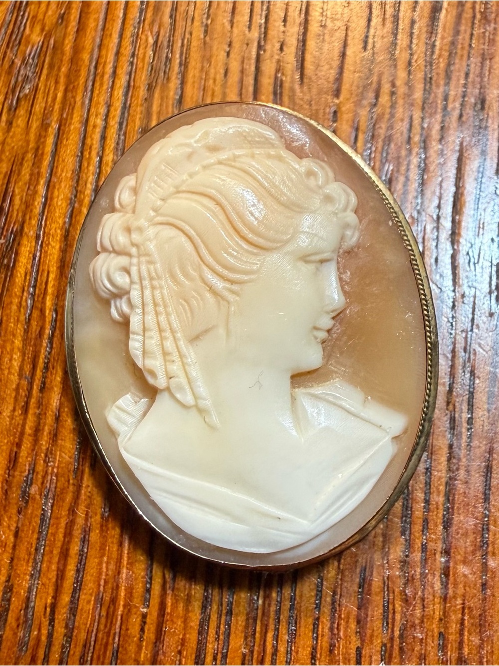 Vintage Shell Cameo Portrait Brooch/pendant